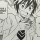 Illustration for article titled iNisekoi /iVol. 13 - Manga Review